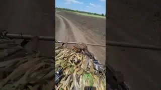 2 июня 2024 г.