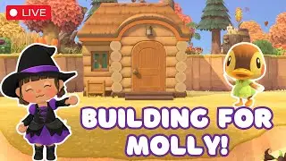 90 DAY CHALLENGE | Day 38 Let's work on Molly's house FOR REAL this time!