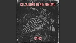 Co Za Dużo to Nie Zdrowo