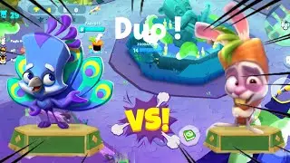 | I 🦚🦚 RAVI VS SKIPPY 🐇🐇 I | ZOOBA