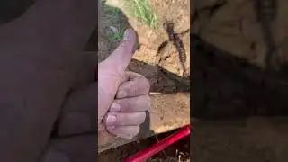 Коп с реечным домкратом