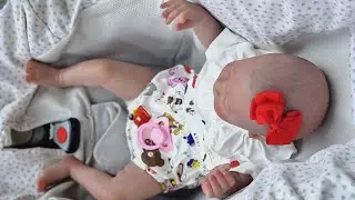 ¡Cachitos Reborn está emitiendo en directo!