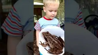 FROG HUNTING🐸😂 