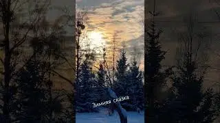 #зима