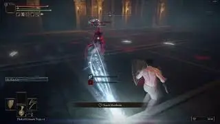 Alberich destroys homeless tarnished