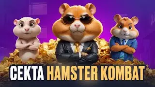 СЕКТА HAMSTER KOMBAT