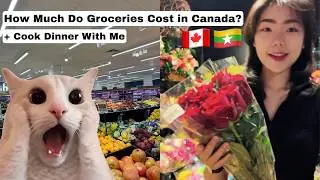 Grocery Shopping in Canada 🇨🇦 | How Much Do Groceries Cost in Toronto?