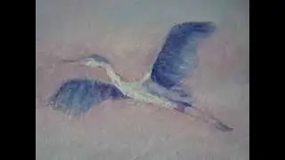volo d'airone-autrice video Delia Smit Bonazzoli
