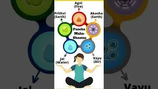 Ayurveda Unveiled: Dr. Chaitali Deshmukh's Guide to Holistic Wellness 