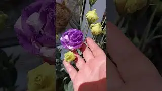14 июля 2023 г.