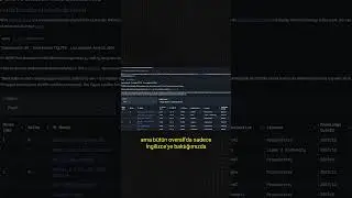 Huggingface'in Yapay Zeka Verileri