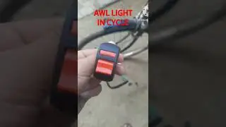 owl light in cycle 