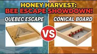 🔨Escape Boards Comparison-That Bee Man