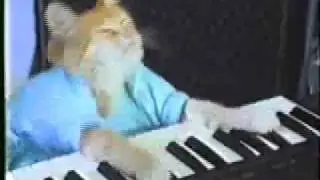 Keyboard Cat-Chocolate Rain