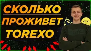TOREXO FINANCE: СКОЛЬКО ПРОЖИВЕТ?🤓🧐