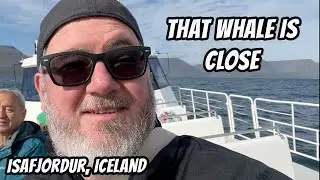 Up Close with Whales in Isafjordur, Iceland