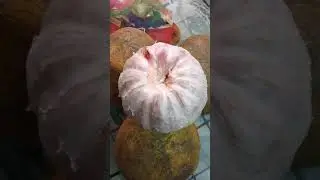 জাম্বুরা ফল লিভারকে ভালো রাখতে সহায়তা করে