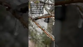 Стих дня. Места Писания. 