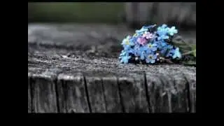 Bülent Ersoy..Baharlar yoruldu,yazlar yoruldu
