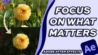 How to Highlight Objects in Adobe After Effects