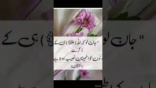 صَــلَّــی اللّٰـهُ تَـعَالٰـی عَـلَـیْـہِ وَاٰلِــہ نے فرمایا نماز آنکھوں کی ٹھنڈک ہے #shortfeed #