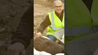 'Priceless' Roman god heads found at cricket club #romangodhead #roman #priceless #historyormystery