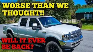 6.0 Powerstroke Build Disaster