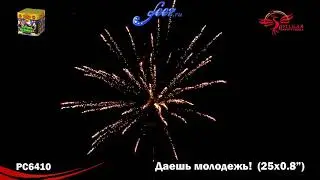 РС6410: Даешь молодежь