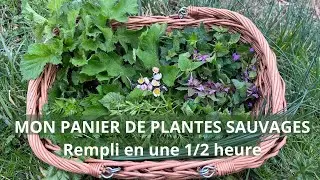 Mon panier cueilli en une demie heure
