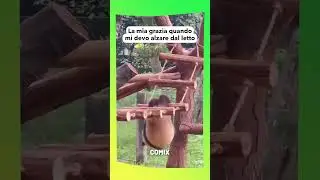 Ma poi, perché devo farlo