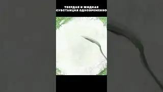 Ньютоновская жидкость дома