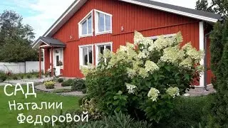 САД Наталии Федоровой🌳Агалатово. Ленинградская область🌳