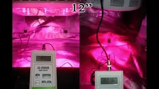 LED Grow Light Review: Hydro Grow LED vs ProSource WorldWide - 3X The Intensity!.mpg