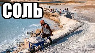 Why Table Salt
