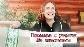 Осенний заказ роз!!!🍁🌹 Пришла посылка с саженцами из питомника!
