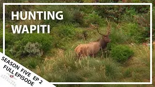 Hunting Aotearoa Series 5 EP02 Searching for Wapiti