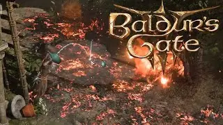 How to use water properly in Baldurs Gate 3