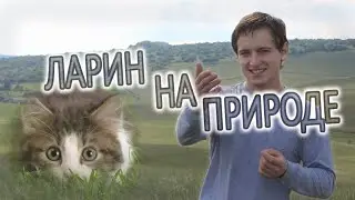 Ларин на природе. Под колесами?
