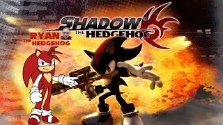 Young Lads Play Shadow the Hedgehog