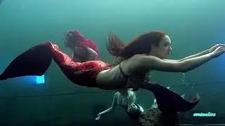 SIRENE CALLING! by LINE NEESGAARD
