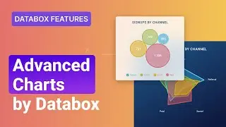 New Era of Data Visualization | Advanced Charts | Databox Features