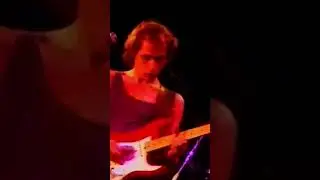 News - Guitar Solo - Mark Knopfler - Dire Straits