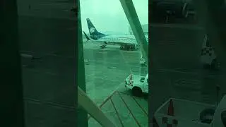 Cómo entrar al aeropuerto de Guadalajara #volaris #youtubeshorts #guadalajara #shorts #aeropuertos