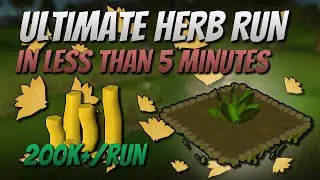 Ultimate Herb Run Guide [200K+ GP/Run]