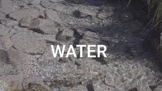 Промо ролик promo video