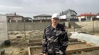 ПОСАДКА КАРТОФЕЛЯ РАССАДОЙ/Благоустройство участка/ Пять соток /Переезд на юг