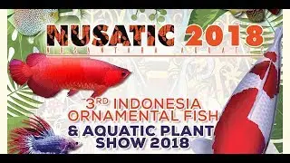 Pameran Aquascape dan Ikan Hias Terbesar di Indonesia NUSATIC 2018 #BSMVLOG