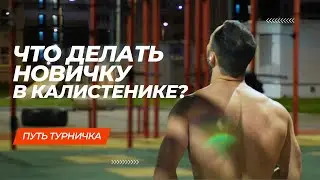 Calisthenics for Beginners | What to Do on the Pull-Up Bars?