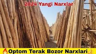 2024 Terak Bozor Narxlari | To'sin Vassa Strapila Narxlari | Shifer Narxlari