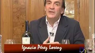 cata palomero 2005